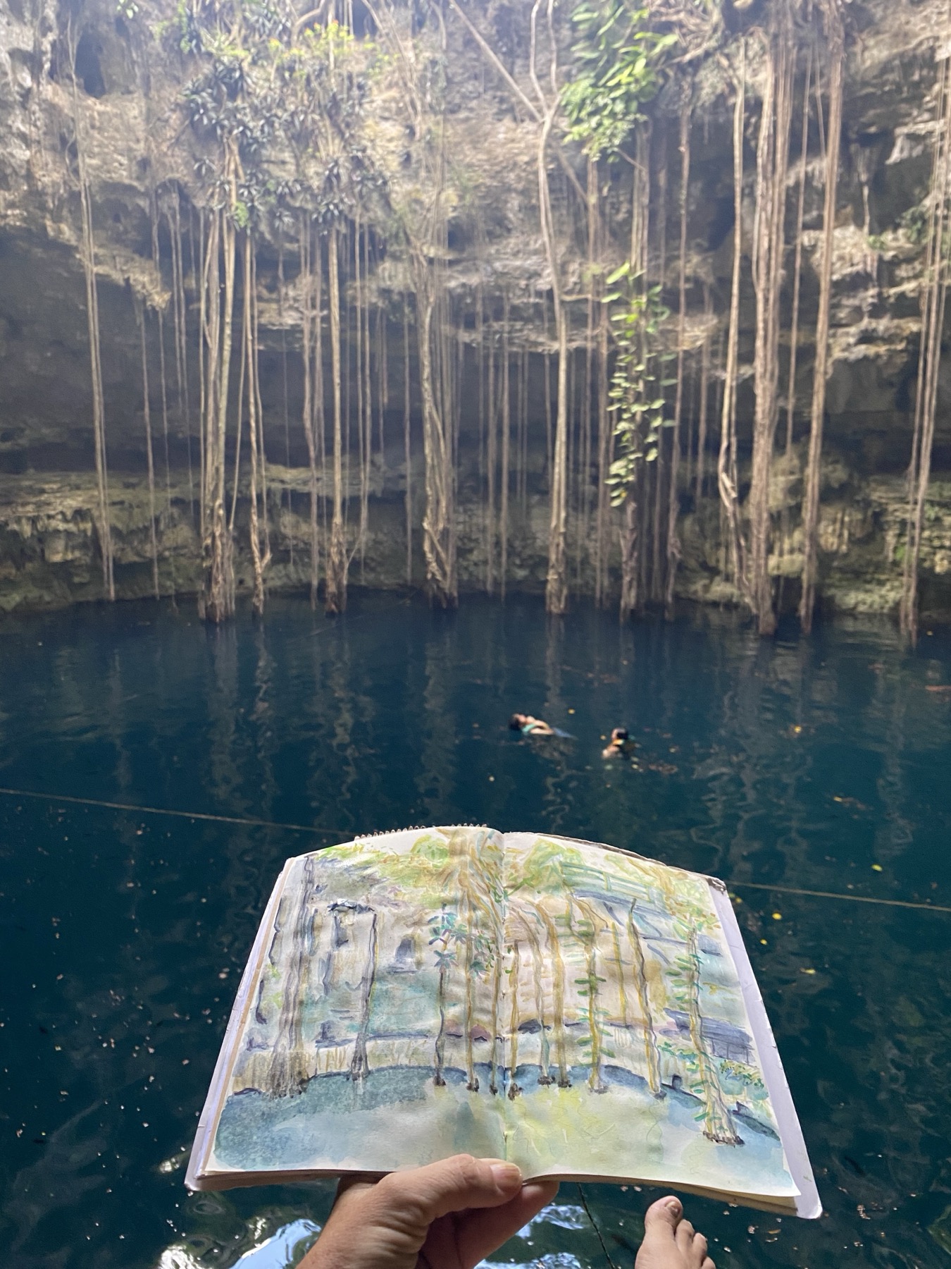 Open sketchbook held in front of a cenote with hanging roots and blue water.